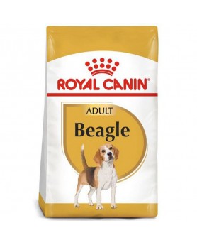 Royal Canin Beagle 3 kg