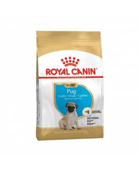 Royal Canin Pug puppy 2,5kg